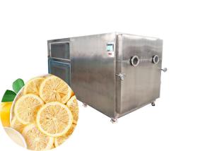 China Dried Fruit Industrial Freeze Dryer Machine 200kg/batch wholesale