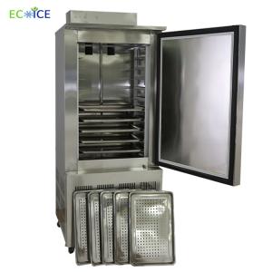 China Hot Export Low Price Small Blast Freezer for Chicken wholesale