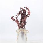 Artificial Dried Eucalyptus Plant , Preserved Silver Dollar Eucalyptus
