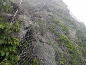 China GPS-O Ring Nets wholesale