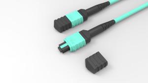 China OM4 LSZH Fiber Optic Patch Cable 12 Fibers MPO MTP Trunk Cable wholesale