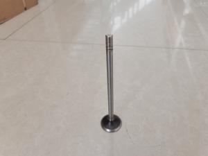 China Diesel Engine Valve Exhaust Lightweight 2243030 224-3030 248-1467 wholesale