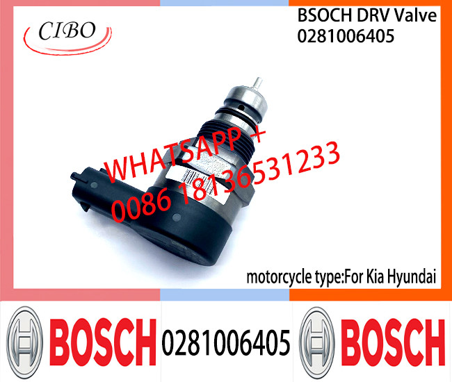 BOSCH DRV Valve 0281006405 Control Valve 0281006405 For Kia Hyundai