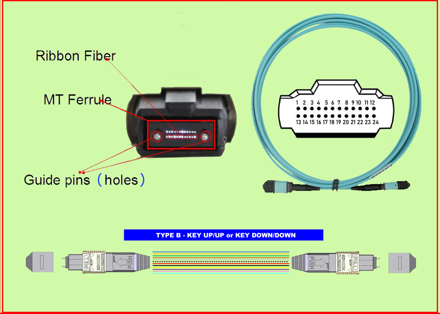 OM3 24 MTP MPO Fiber Optical Patch Cord Type B SENKO Water Blue