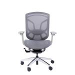Polished Butterfly Ergonomic Office Chair Mesh Computer Home Swivel