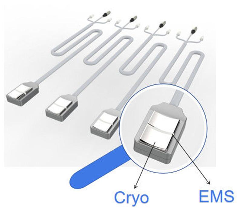 100V Four Applicators Cryolipolysis Fat Freeze Slimming Machine