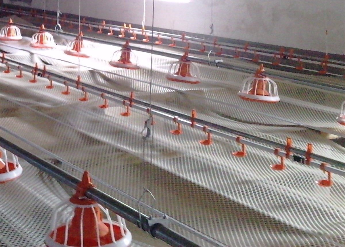Electrical Environmentally Controlled Poultry House