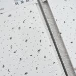 Hotel Fireproof Mineral Fibre Acoustic Tile for Soundproofing Panels