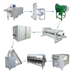China Roasting Dryer Nuts Processing Machine Peeling Cashew Grading Machine wholesale