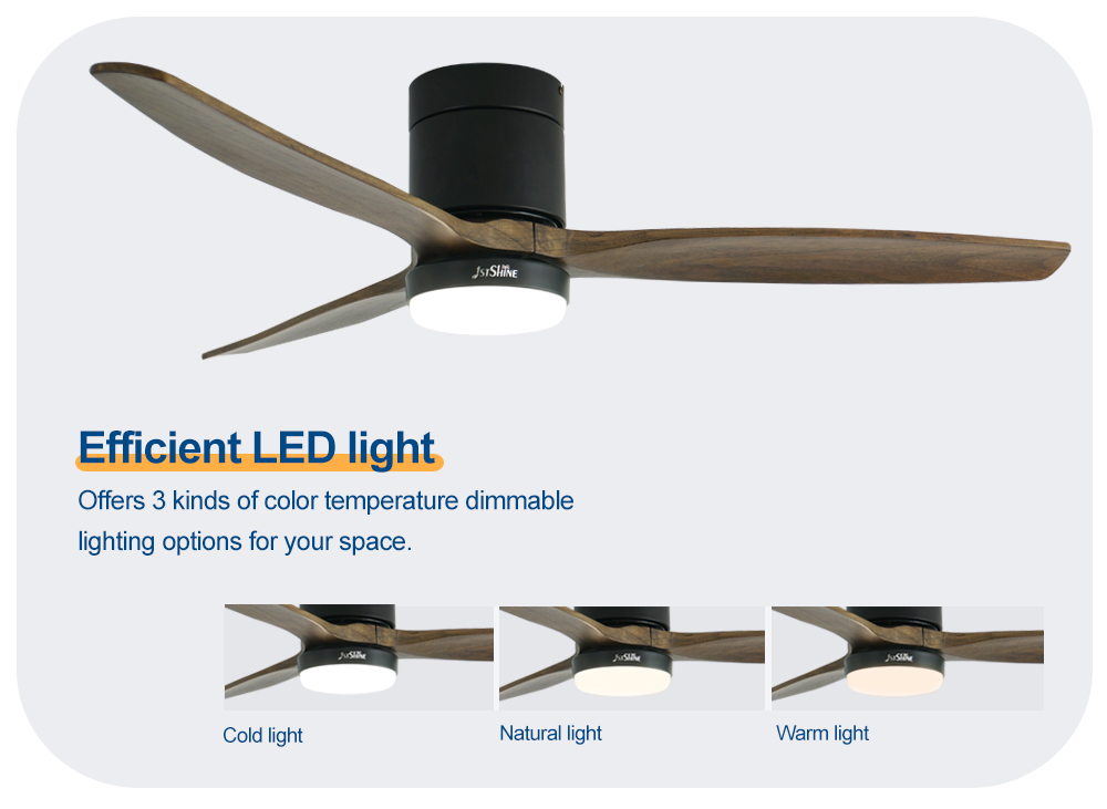 ceiling fan