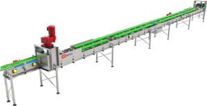 China Automatic Mango Juice Packing Machine Bottle Sterilization Chain wholesale
