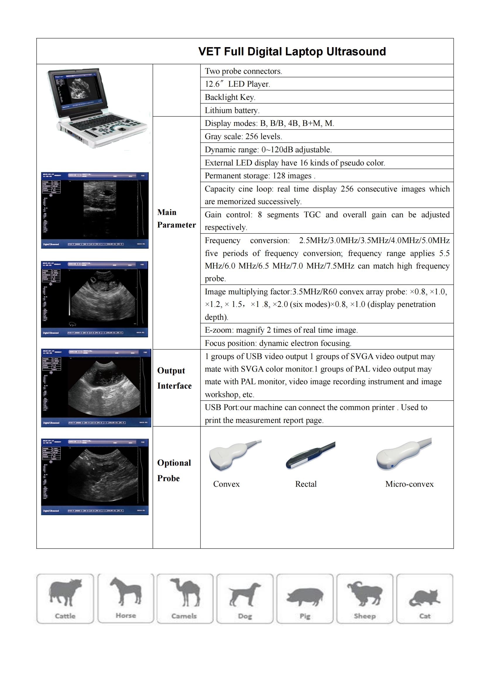 B/W Portable Laptop Ultrasound Machine Veterinary Li Battery ISO
