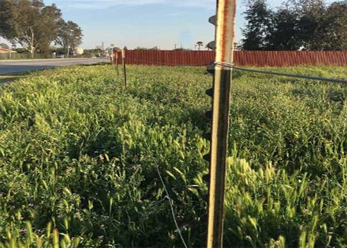 American Farm 6 Ft Studded Fence Post 0.83lb Per Foot
