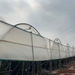Good Quality Poly Tunnel Low Cost Hot Sale Polytunnel Berry Greenhouse
