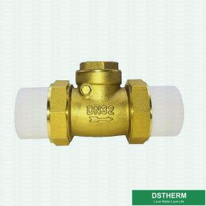 China 32mm DIN Drinkable Water Ppr Brass Body Check Valve wholesale