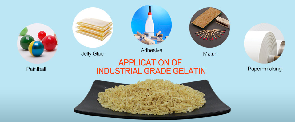 120 Bloom Adhesives Industrial Gelatin Powder With Adjustable Bloom Viscosity