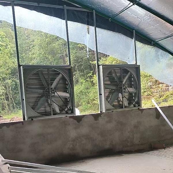 Good Price 36 40 50 Inch Industrial Ventilation Shutter Fan Greenhouse Centrifugal Exhaust Fan Electric Power Source for Poultry