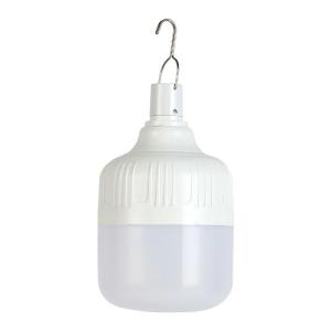China 30W Rechargeable Emergency LED Bulb T Shape Lightweight Stable wholesale