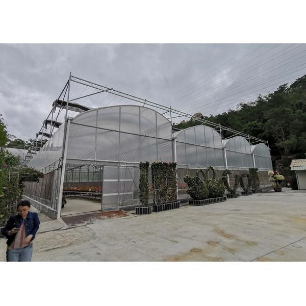 Single Layer Greenhouse Hydroponics System Wrought Iron Greenhouse With Film Surface