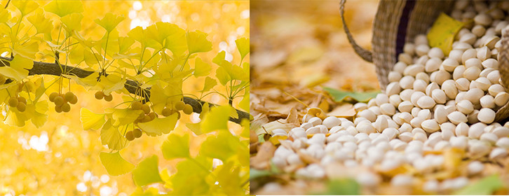 Low Temperature Ginkgo Chips Making Machine Vacuum Fryer Simple Operation