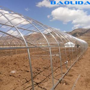 China Agricultural High Hoop Arch Polyethylene Film Greenhouse For Planting wholesale
