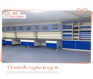 China Durable Lab Wall Benches With Customizable Options And Powder Coating wholesale