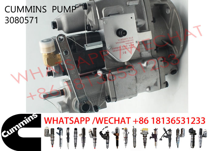 3080571 Cummins KTA19-C600 Diesel Engine Fuel Pump 3655884 4913582 3076130
