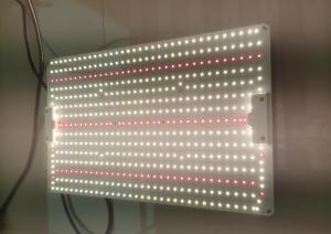 China High Efficiency LED Grow Light 200W Quantum Board 480*300*75mm wholesale
