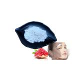 Commercial 99% Plant Extract Powder Pomegranate Peel Extract Ellagic Acid