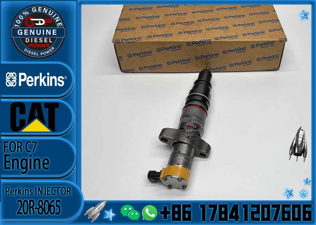 Diesel Fuel Injection Pump Injection 387-9432/20R-8065 387-9432 3879432 Ca3879432 For Caterpillar C9 Engine