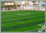 11000 Dtex Save Water Synthetic Grass Lawns , Monofilament PE Artificial