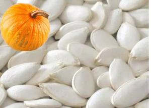 China Original Flavor Roasted Seeds And Nuts Snow White Pumpkin Seeds 99% Purity wholesale