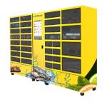 Self Service Automatic Locker Vending Machine With 4℃ Cooling Refrigeration