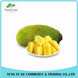 China High Quality Natural Jackfruit Extract Powder wholesale