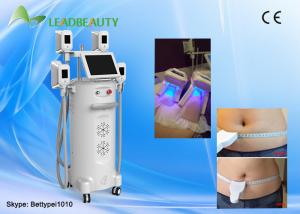 China CE approved fat freezing cryolipolysis antifreeze membrane for cryolipolysis wholesale