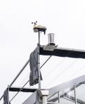 Wind Resistance Multi Span Film Greenhouse With Ventilation System