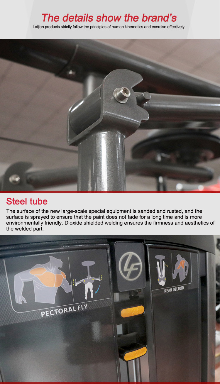 Professional Workout Gym Equipment Pectoral Fly Rear Deltoid Machine For Commercial