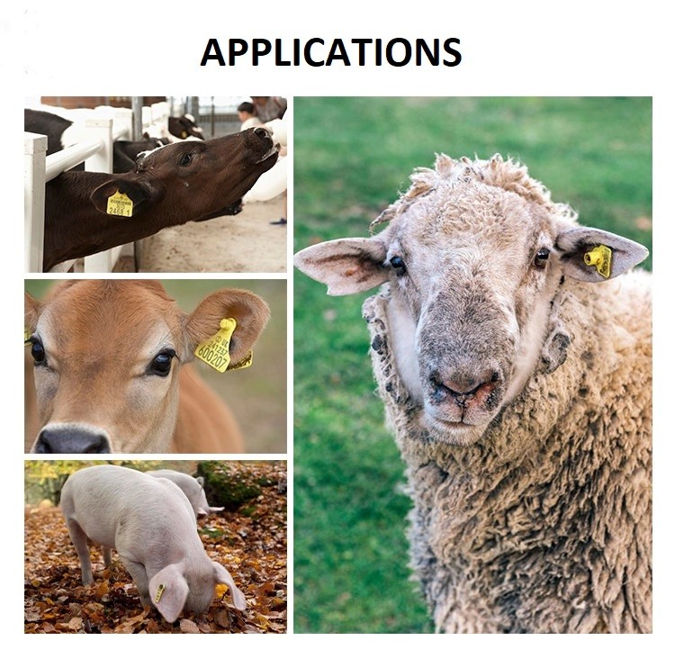 Sheep 70mm Livestock Ear Tags Identification ET-03 Plastic