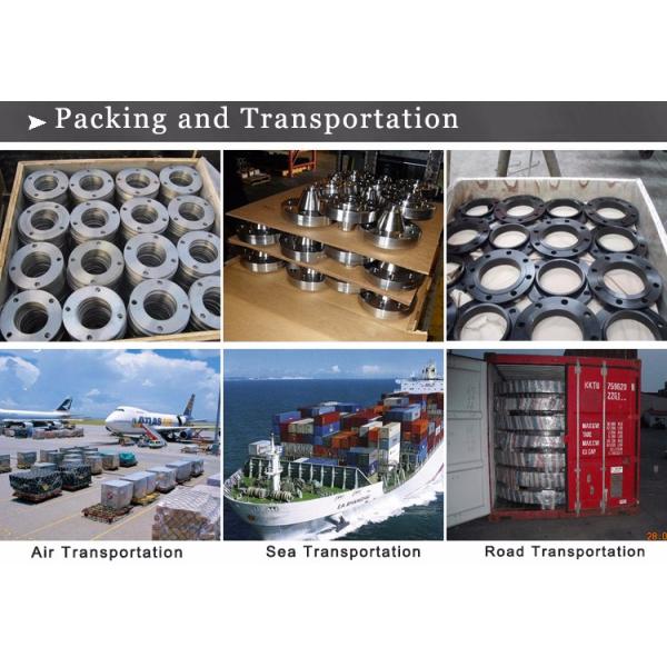 Stainless Steel Forged Flange For SA-182 F304/304L;F316/316L;F317/317L;F321;904L;F51;F53;F55