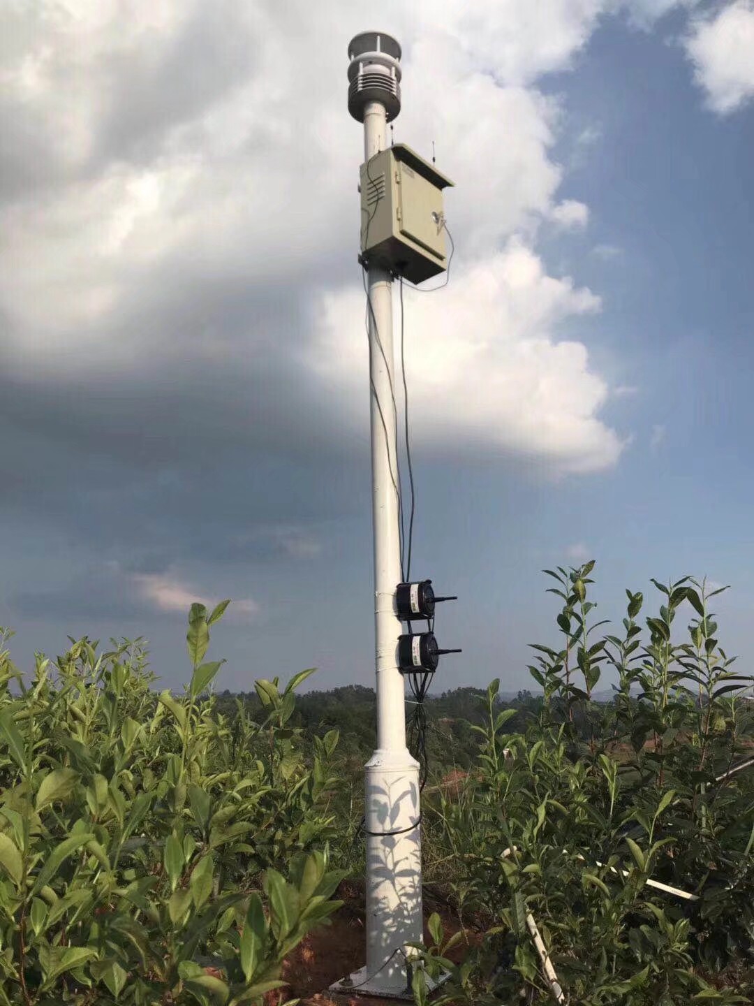 RS485 Weather Station for Comprehensive Weather Monitoring and Data Collection