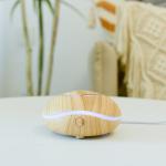 Intelligent Automatic Spray Car Aroma Diffuser