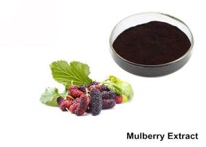 China Natural Mulberry Extract Powder wholesale