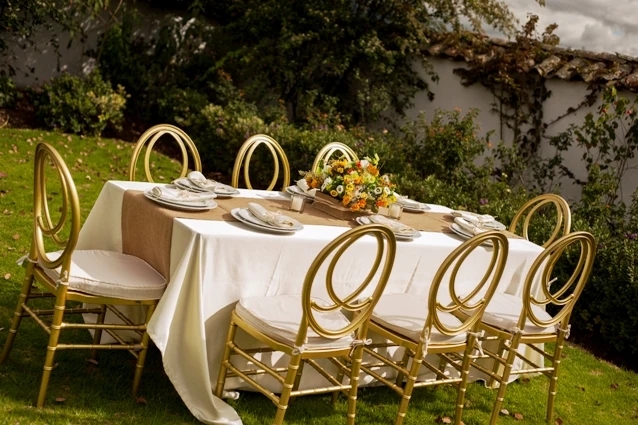 OEM Acrylic Resin Phoenix Chair Modern White Resin Chiavari Chairs