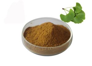 China Owering Blood Pressure Ginkgo Biloba Bulk Powder wholesale