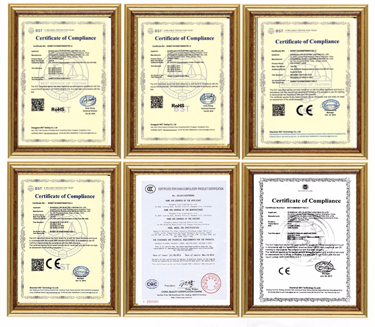 certificate.jpg