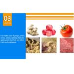 Commercial 3kw Potato Apple Tomato Crusher Machine for Fruit and Vegetable