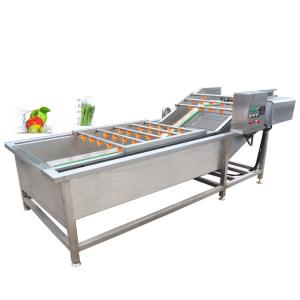 China Pasteurization Vegetable Fruit Washing Machine 1500kg/H wholesale