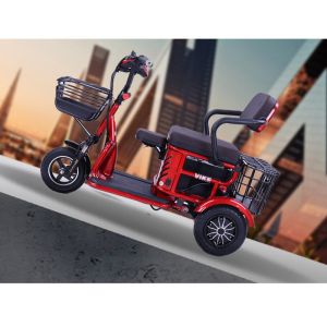 Double Row Small Household Elderly Pick Up Leisure Electric Tricycle