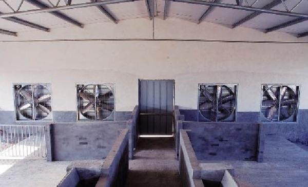 industry drop hammer ventilation fan