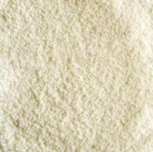China 100% Natural Algae Oil ARA Extract Powder wholesale